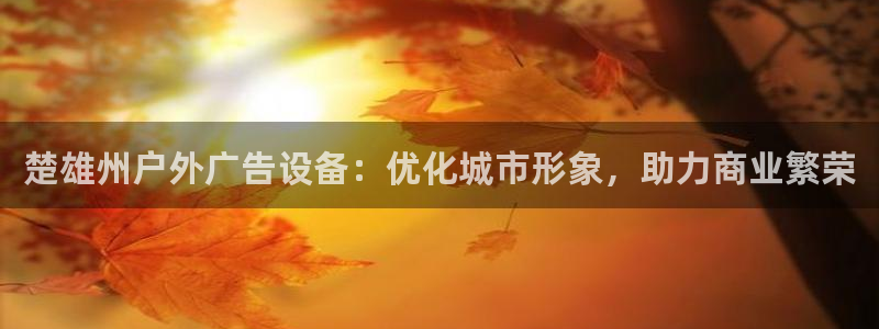 杏宇官方平台官网：楚雄州户外广告设备：优化城市形象，助力商业繁荣