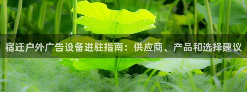 杏宇平台总代理是谁：宿迁户外广告设备进驻指南：供应商、产品和选择建议
