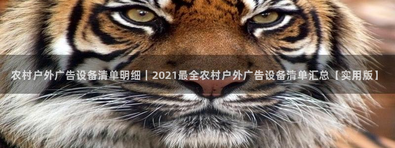杏宇平台招商怎么样：农村户外广告设备清单明细｜2021最全农村户外广告设备清单汇总【实用版】