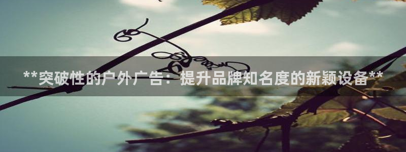 杏宇平台怎么样：**突破性的户外广告：提升品牌知名度的新颖设备**