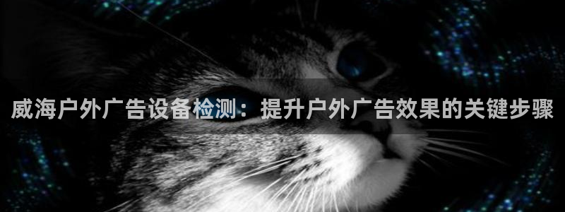 杏宇平台总代理：威海户外广告设备检测：提升户外广告效果的关键步骤