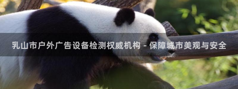 杏宇平台招商：乳山市户外广告设备检测权威机构 - 保障城市美观与安全