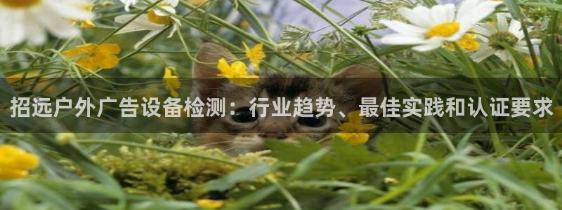 杏宇平台好吗：招远户外广告设备检测：行业