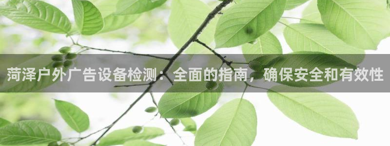 杏宇平台代理怎么样：菏泽户外广告设备检测