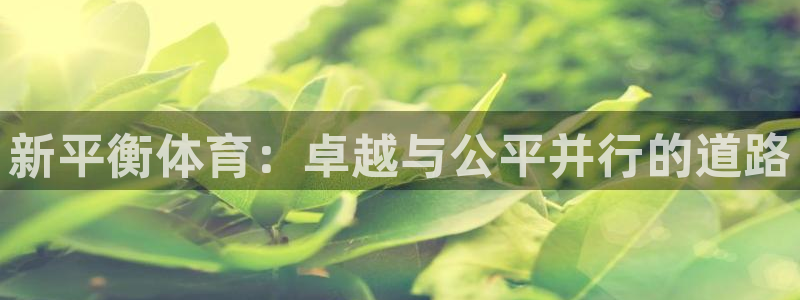 风速体育cba直播