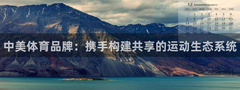 风速体育直播：中美体育品牌：携手构建共享的运动生态系统