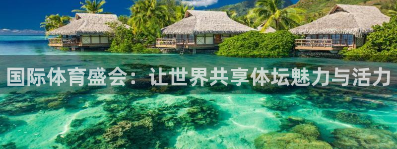风速体育直播app：国际体育盛会：让世界共享体坛魅力与活力