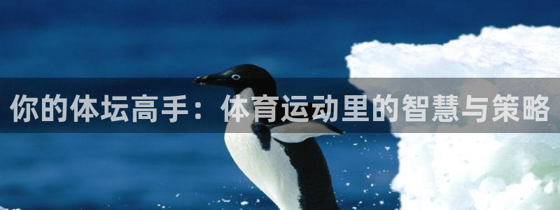 风速体育nba直播：你的体坛高手：体育运动里的智慧与策略
