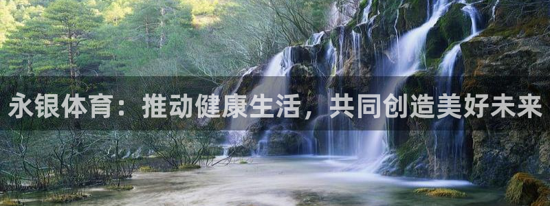 风速体育直播app