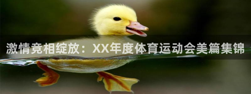 风速体育