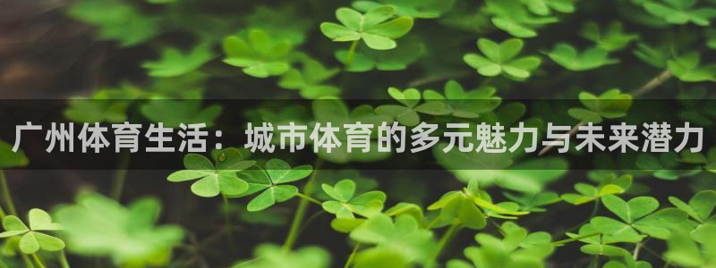 风速体育nba直播：广州体育生活：城市体育的多元魅力与未来潜力