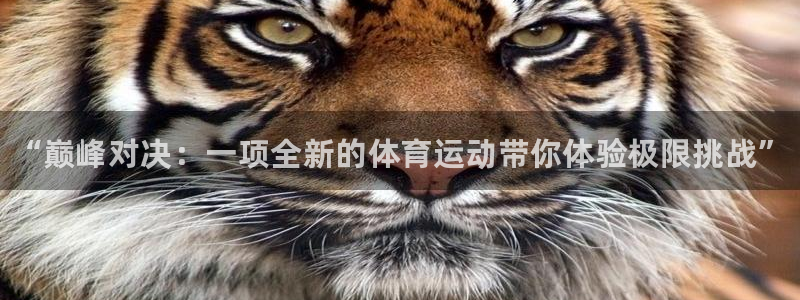 风速体育直播app：“巅峰对决：一项全新的体育运动带你体验极限挑战”