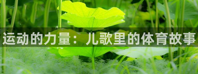 风速体育app下载官网最新版：运动的力量：儿歌里的体育故事