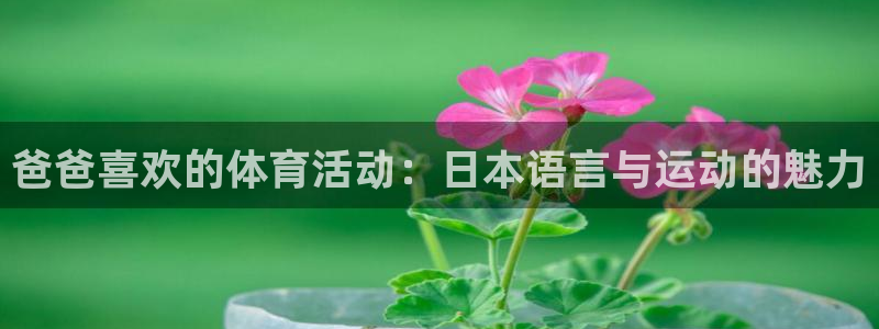 风速体育直播app
