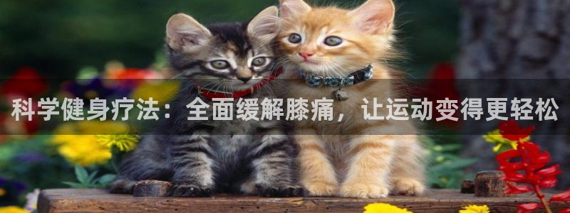 风速体育