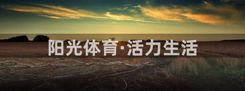 风速体育app