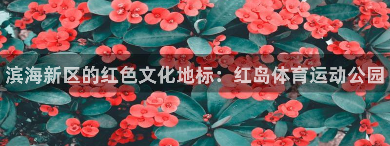 风速体育nba免费直播