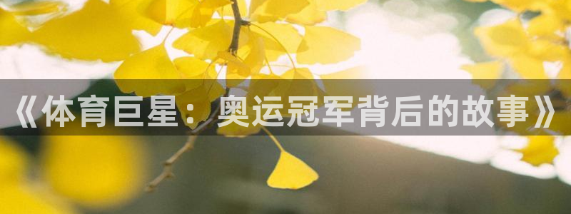 风速体育nba直播