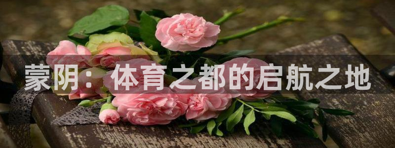 风速体育下载