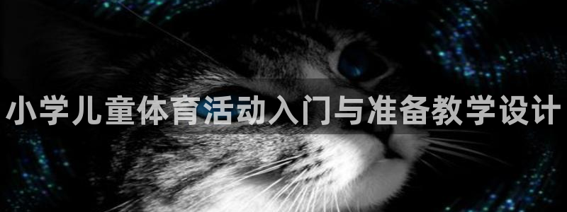 风速体育