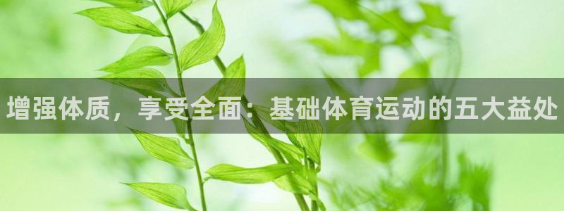 风速体育nba免费直播